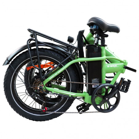 BAOLUJIE DZ2031 Bici elettrica Velocità 40 km / h Motore 48 V 13 Ah 500 W - Verde