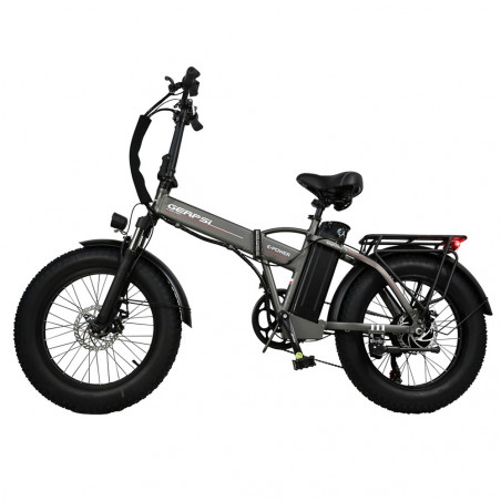 BAOLUJIE DZ2001 750W Bicicleta Elétrica 48V 12Ah 45km/h Velocidade