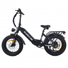 BAOLUJIE DP2003 Bicicleta eléctrica 48V 500W Motor 12Ah 45km / h Velocidad - Negro