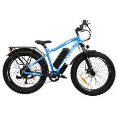 Bicicleta eléctrica BAOLUJIE DP2619 48V 750W Motor 13Ah 45km / h Velocidad - Azul