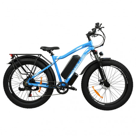 BAOLUJIE DP2619 Bici elettrica 48V 750W Motore 13Ah Velocità 45 km/h - Blu