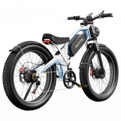 DUOTTS N26 elektrische fiets 750W*2 motoren - wit