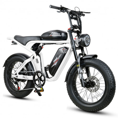 Electric Bike SAMEBIKE M20-III WHITE 1000W-1200W IN CRETE Single motor version