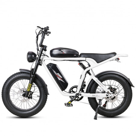 Elektrische fiets SAMEBIKE M20-III WIT 1000W-1200W OP KRETA Versie met enkele motor