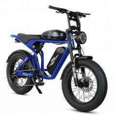 Electric Bike SAMEBIKE M20-III BLUE 1000W-1200W IN CRETE Single motor version