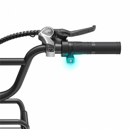 Bicicleta elétrica ENGWE L20 BOOST 250W 20 * pneu de 4,0 polegadas