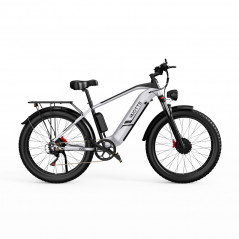 Bici Elettrica DUOTTS F26 Argento 26 pollici 50km/h 48V 20Ah 750W Doppio Motore