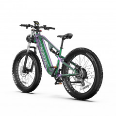 Bicicletă electrică DUOTTS E26 verde-violet 26 inci 55 km/h 48V 20Ah 750W Motor dublu