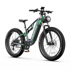 Bicicletta elettrica DUOTTS E26 Verde-Viola 26 pollici 55km/h 48V 20Ah 750W Doppio Motore