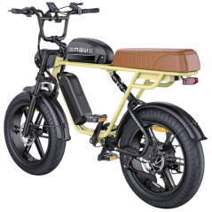 ENGWE M1 Yellow Electric Bike With 1 battery 48V 15.6Ah 250W 65NM