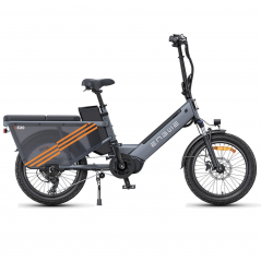 ENGWE LE20 Electric Cargo Bike Gray 250W 1 Battery 19.2AH