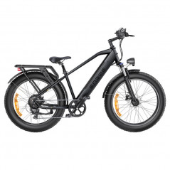 Bicicleta elétrica ENGWE E26 48V 16AH 250W 25km/h Cinza