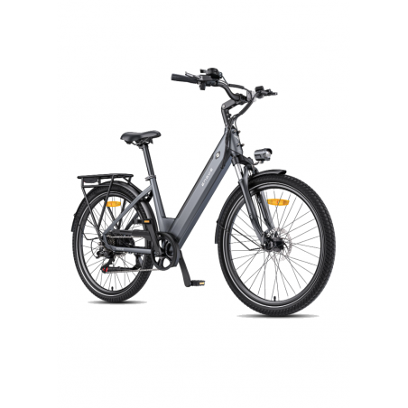 ENGWE P275 SE 250W