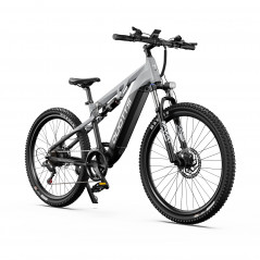 Vélo Électrique Duotts E29 Gris