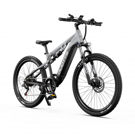 Elektrische Fiets Duotts E29 Grijs