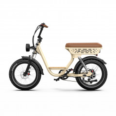 Elektrombikes OneSport W77