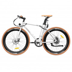 Fafrees F1 250W 10AH Elektrische fiets - Wit oranje