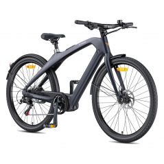 Elektrische fiets ENGWE MAPFOUR N1 Pro - Grijs - 250W - 100 KM - 19KG
