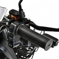 Triciclo eléctrico Freejoyer FV6 1000W 60V 20Ah Negro