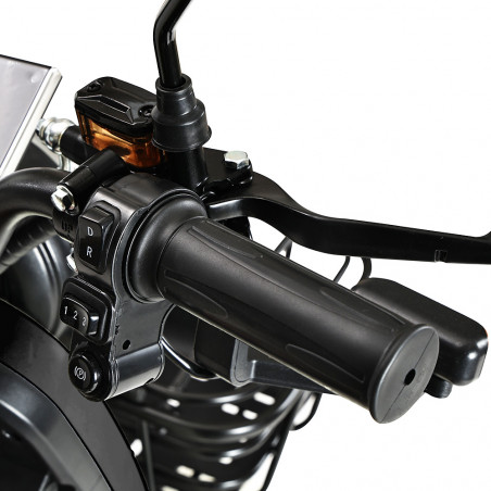 Tricycle électrique Freejoyer FV6 1000W 60V 20Ah Noir