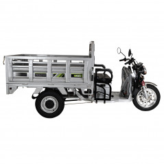 Elektryczny rower trójkołowy Freejoyer FW5 3000W 72V 58Ah - srebrny