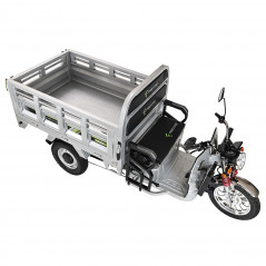Elektryczny rower trójkołowy Freejoyer FW5 3000W 72V 58Ah - srebrny