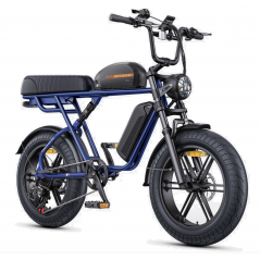Elektrofahrrad ENGWE M1 Blau mit 2 Batterien 48V 28,6Ah 250W 65NM