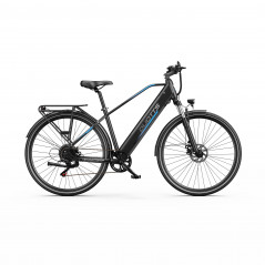 Bicicletta elettrica Duotts ​​C29 Lite 13AH 250W