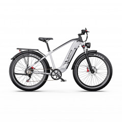 Vélo Electrique DUOTTS F26 Lite Gris 26 pouces  48V 18Ah 750W