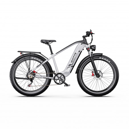 DUOTTS F26 Lite Electric Bike Grey 26 ιντσών 48V 18Ah 750W