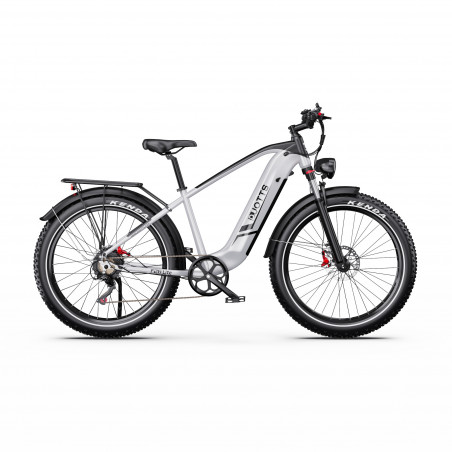 Bicicleta Elétrica DUOTTS F26 Lite Cinza 26 Polegadas 48V 18Ah 750W