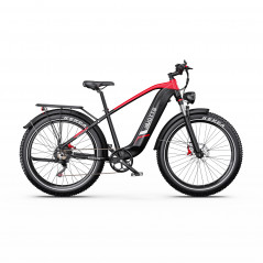 Bicicletta elettrica DUOTTS F26 Lite Rosso-Nero 26 pollici 48V 18Ah 750W