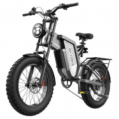 EKXBIKE X20 2000W 48V 35AH Elektrofahrrad