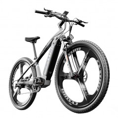 Mountain bike elettrica CYSUM CM520 29 pollici 500 W 48 V 14 Ah 40 km/h Grigio