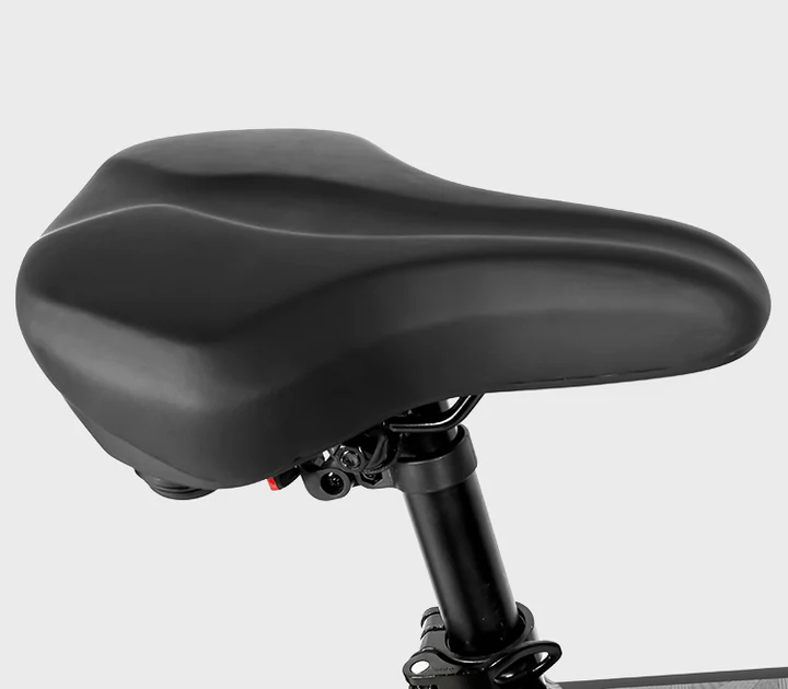 SameBike LO26-II