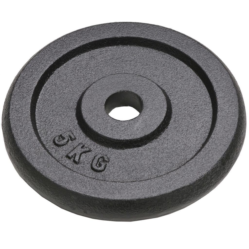 Weight plates 4 pieces 20 kg Cast iron