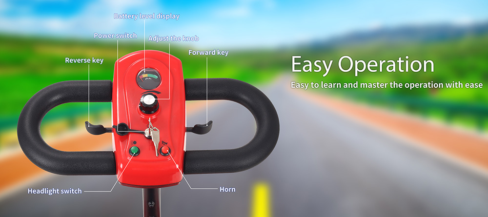 Unificare Lucas X-02B Patinete de Cuatro Ruedas para Personas Mayores, Motor 300W, Batería 24V 12Ah, Asiento Giratorio y Manillar Regulable