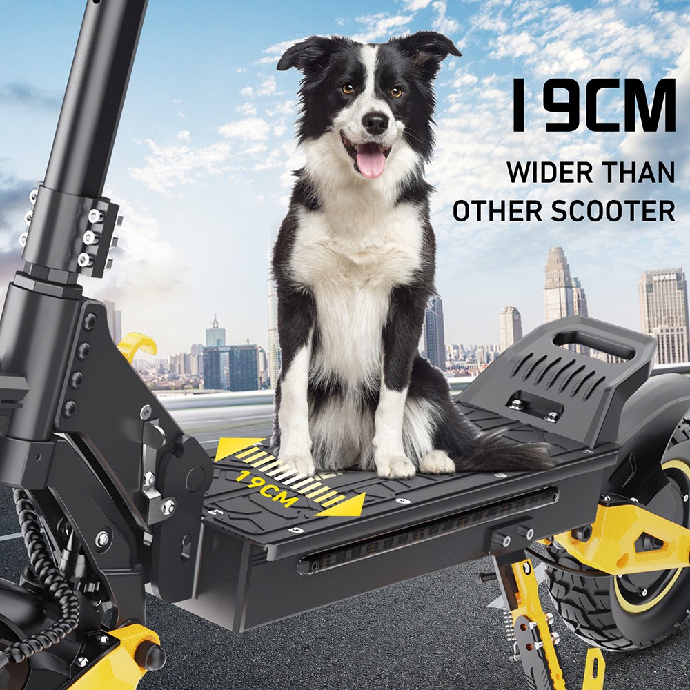 Skuter elektryczny iENYRID ES1, silnik 250 W x 2, akumulator 48 V 20,8 Ah, 10-calowe opony terenowe, prędkość maksymalna 25 km/h, zasięg 60 km, podwójne hamulce tarczowe, przednie i tylne hydrauliczne zawieszenie sprężynowe, tempomat