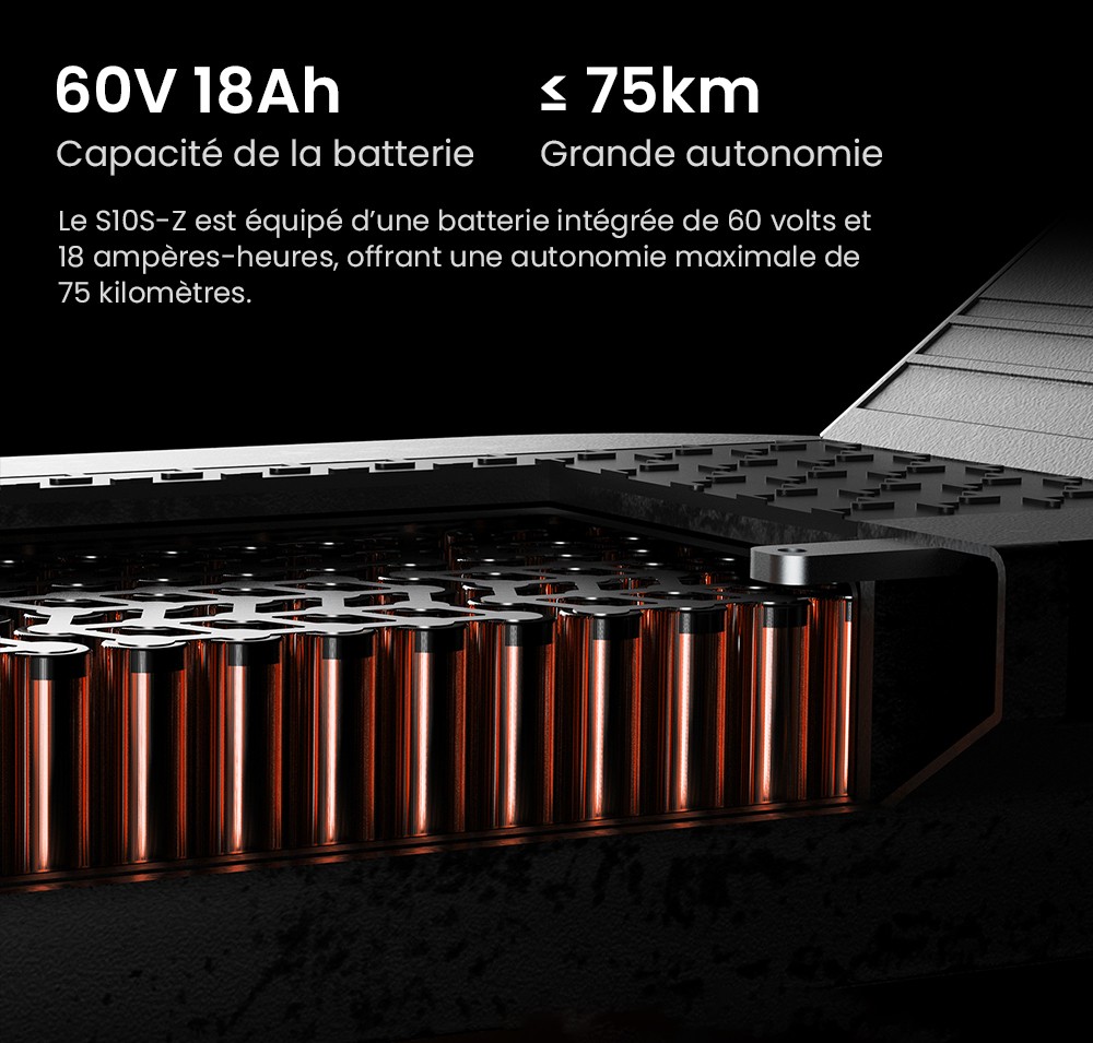 Joyor S10-S-Z elektrisk skoter, 10 tum terrängdäck, 60V 18Ah batteri, 1000W*2 Dubbelmotor, 70-85KM Räckvidd, 120KG belastning, Dubbla hydrauliska skivbromsar, Stötdämpare, Blinkers-Svart -Svart