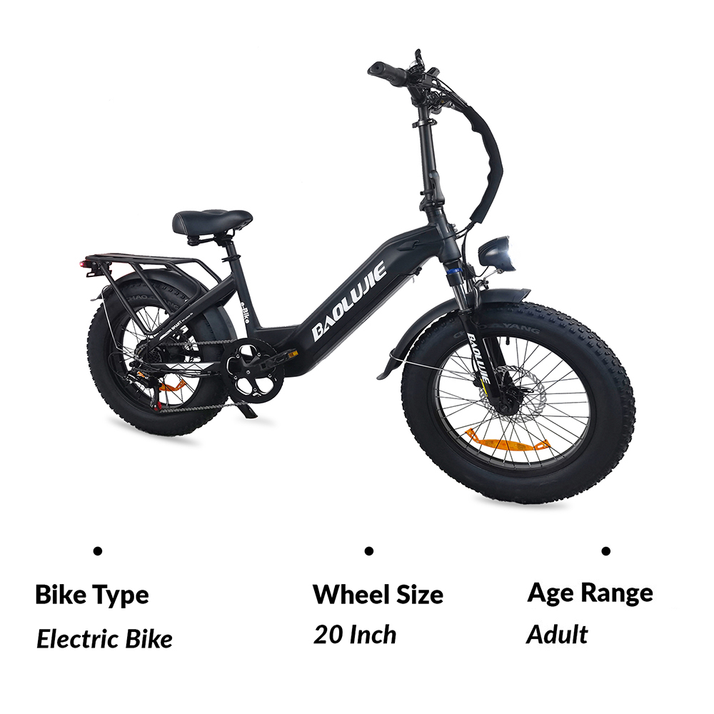Bicicleta eléctrica BAOLUJIE DP2003, neumáticos de 20 * 4 pulgadas, motor de 500 W, batería de 48 V 12 AH, velocidad máxima de 45 km / h, alcance máximo de 40 km, pantalla LCD Shimano de 7 velocidades - Negro