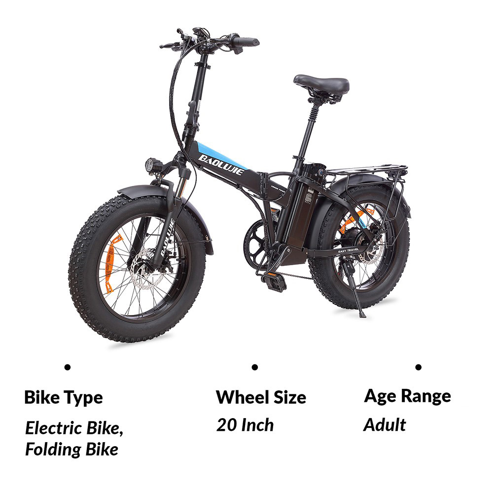 BAOLUJIE DZ2001 opvouwbare elektrische fiets, 48V 12Ah batterij 500W motor 20 * 4.0inch banden 45 km / u maximale snelheid 30-40 km bereik schijfrem - zwart