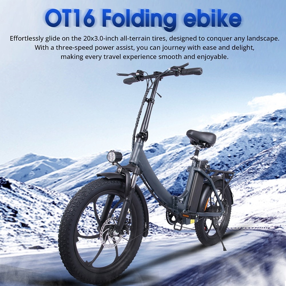 Vélo électrique de pneus OT16 20 * 3.0 pouces, moteur 350W Batterie 48V15Ah Freins à disque à vitesse maximale de 25 km / h - Gris