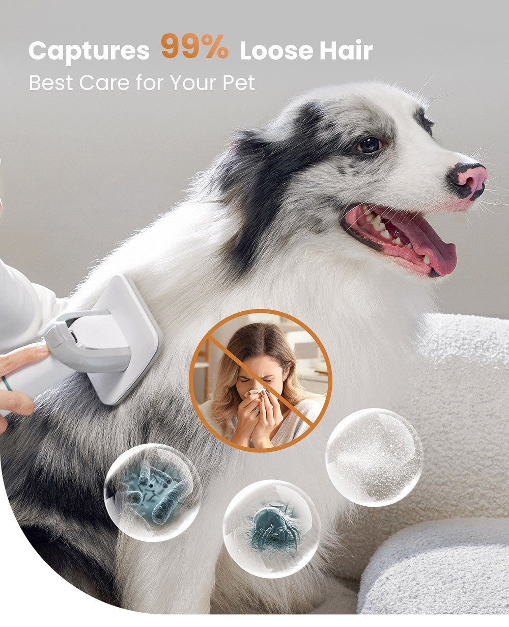 INSE P20 Pro Grooming Kit Trimmer Vacuum Cleaner for Pets
