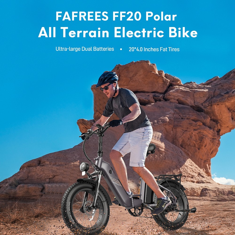 FAREES FF20 Polar E-Bike 40Km/h 500W 48V 10.4AH Double Batterie Gris