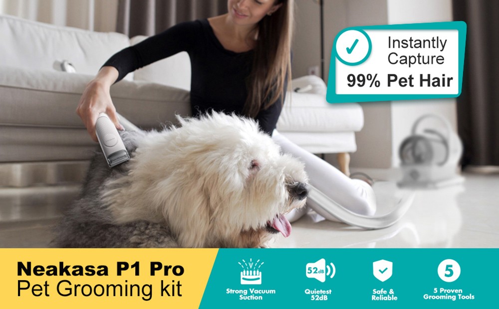 Tondeuse pour chien Neakasa P1 Pro avec aspirateur pour poils d'animaux