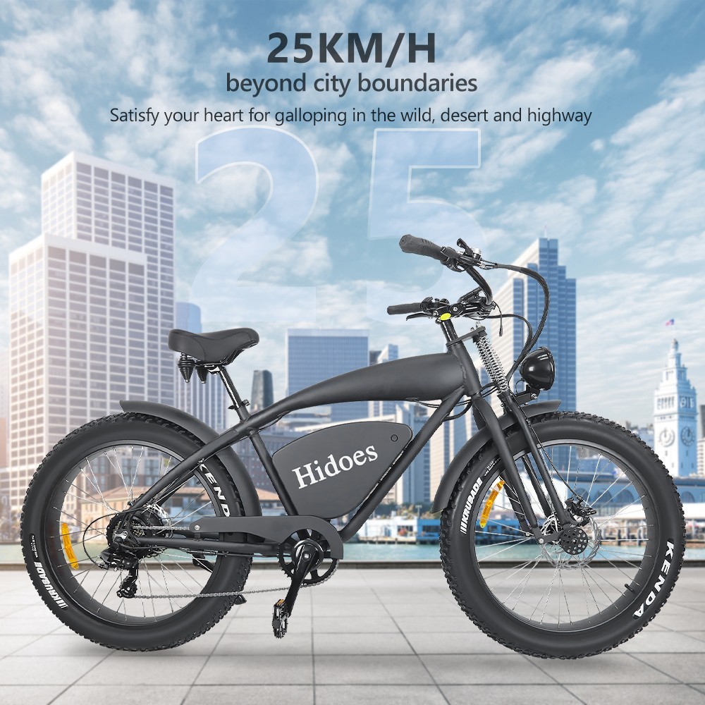 Hidoes B3 Electric Bike 26 Inch 1200W Motor 17.5Ah 25Km/h Speed