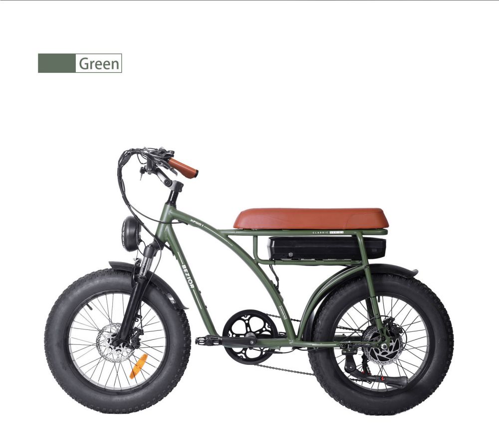 Bicicleta elétrica retrô BEZIOR XF001 1000W 12,5Ah 48V 20 polegadas verde