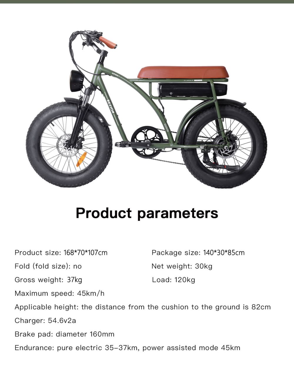 BEZIOR XF001 Bicicleta eléctrica retro 1000W 12.5Ah 48V 20 pulgadas Verde
