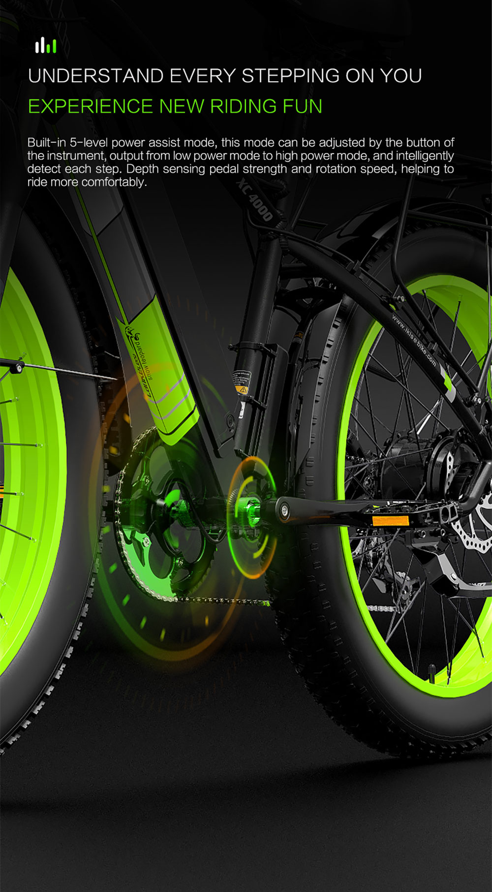 LANKELEISI XC4000 Electric Bike 48V 1000W Motor Green