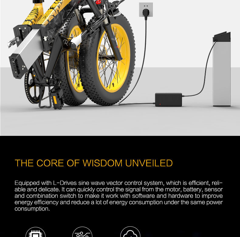BEZIOR XF200 Folding Electric Bike 48V 15Ah Battery 1000W Motor 20x4.0 inch Fat Tire Aluminum Alloy Frame Shimano 7-speed Shift Max Speed 40km/h 130KM Power-assisted mileage Range LCD Display IP54 Waterproof - Black